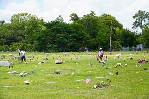 DSC03750