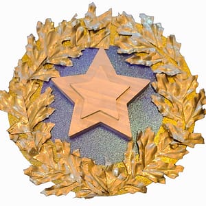 Gold Star Lapel Replica
